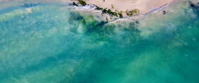 Aerial view of Playa del Carmen with vivid turquoise Caribbean water and white sand beach